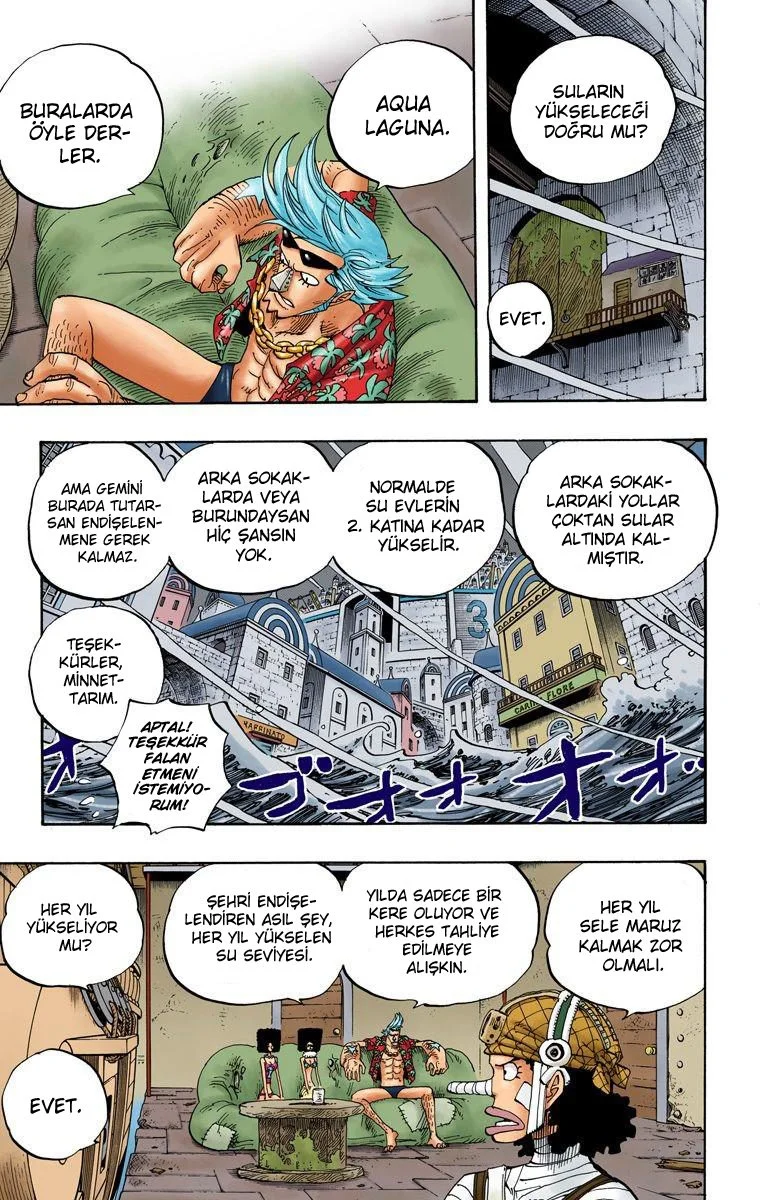 One Piece - Bölüm 350 - Sayfa 13