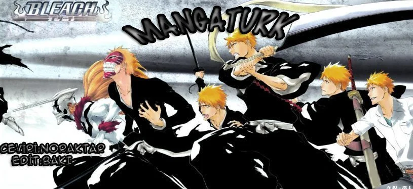 Bleach - Bölüm 416 - Sayfa 17