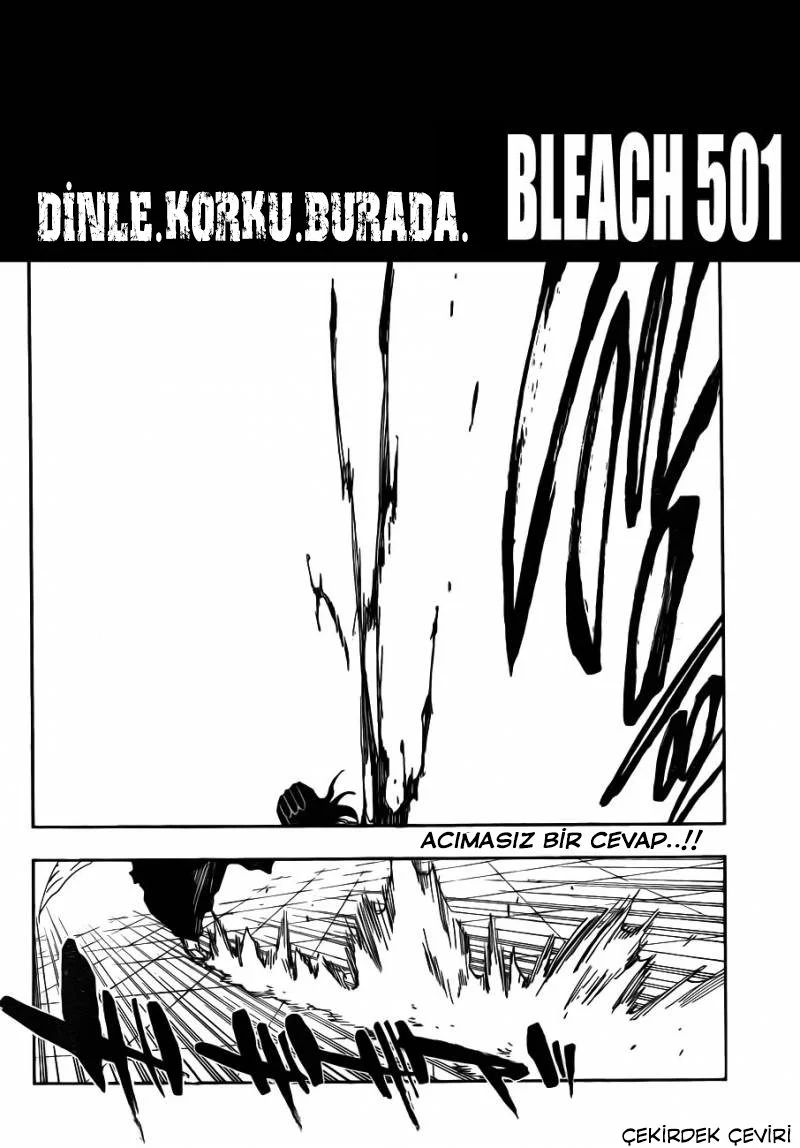 Bleach - Bölüm 501 - Sayfa 5