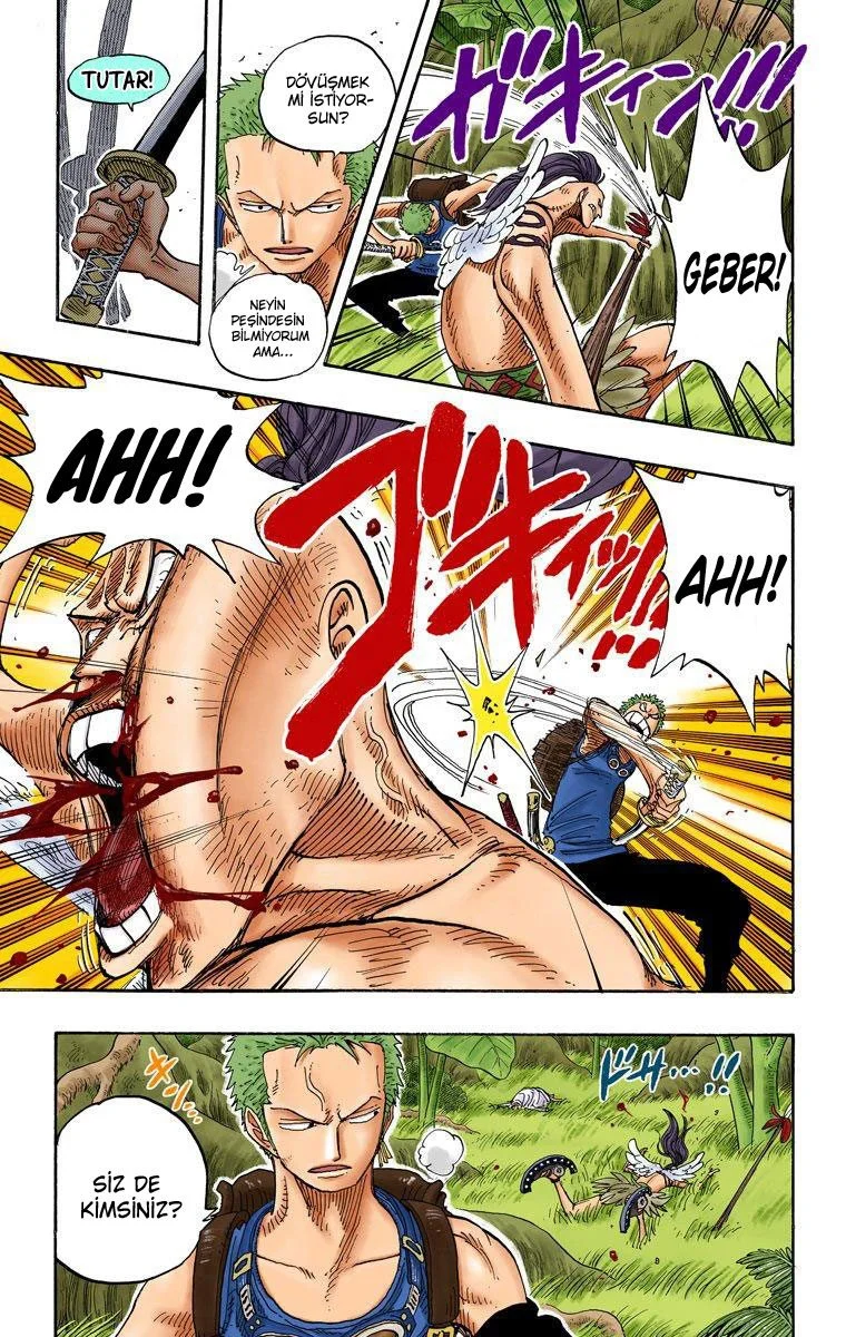 One Piece - Bölüm 258 - Sayfa 13