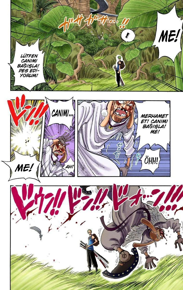 One Piece - Bölüm 258 - Sayfa 14
