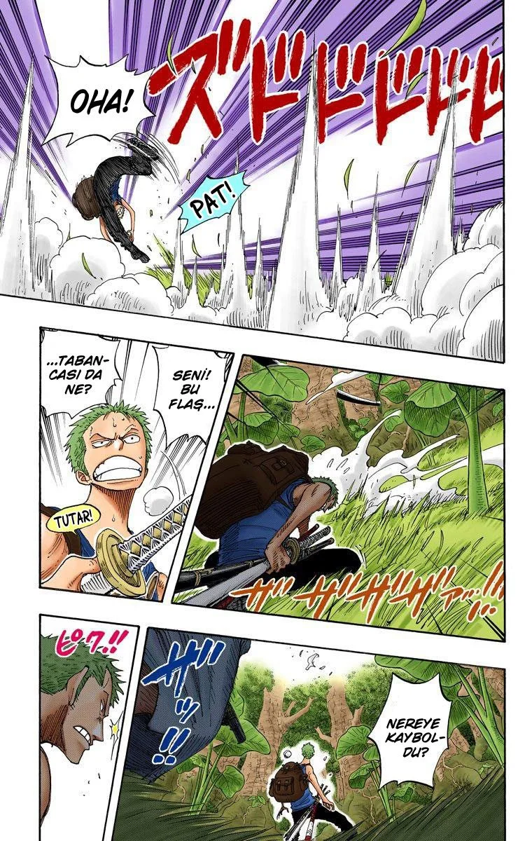 One Piece - Bölüm 258 - Sayfa 17