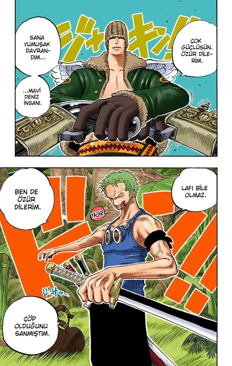 One Piece - Bölüm 258 - Sayfa 19