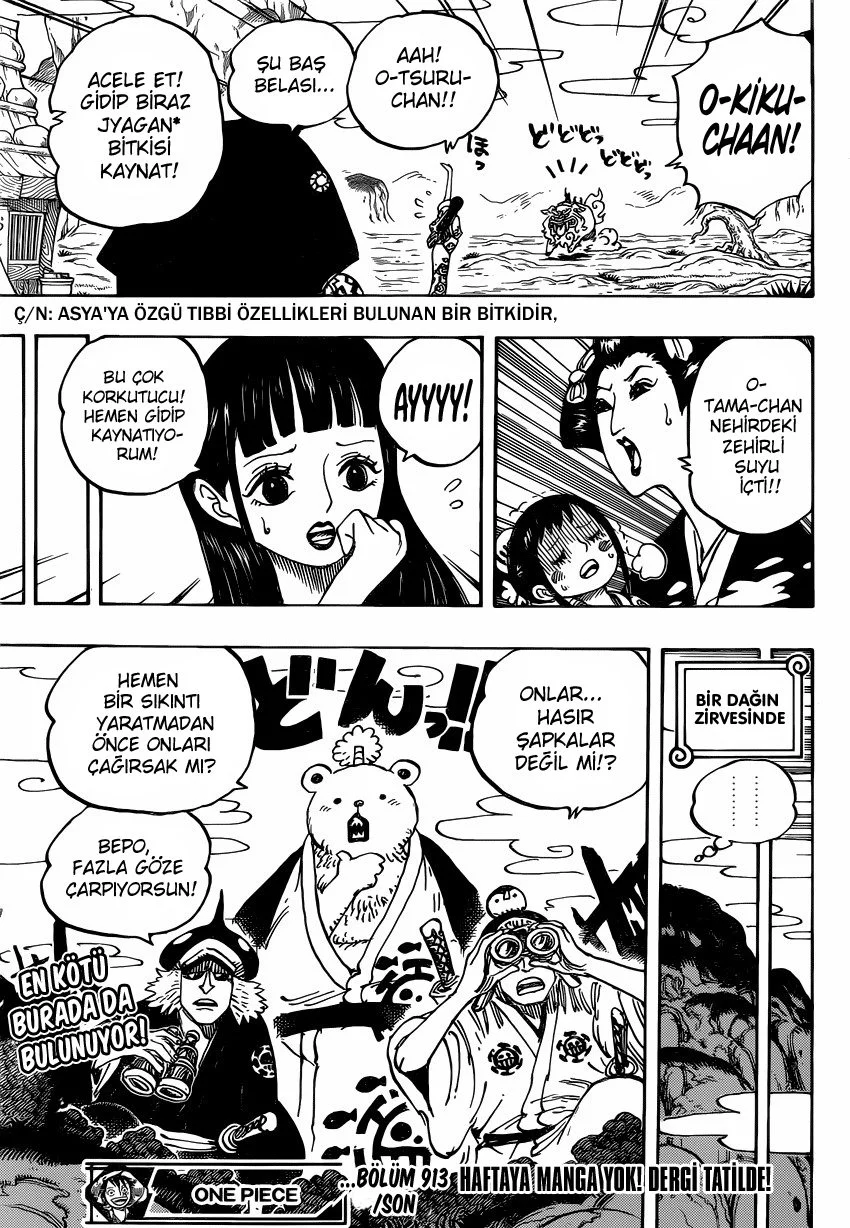 One Piece - Bölüm 913 - Sayfa 14