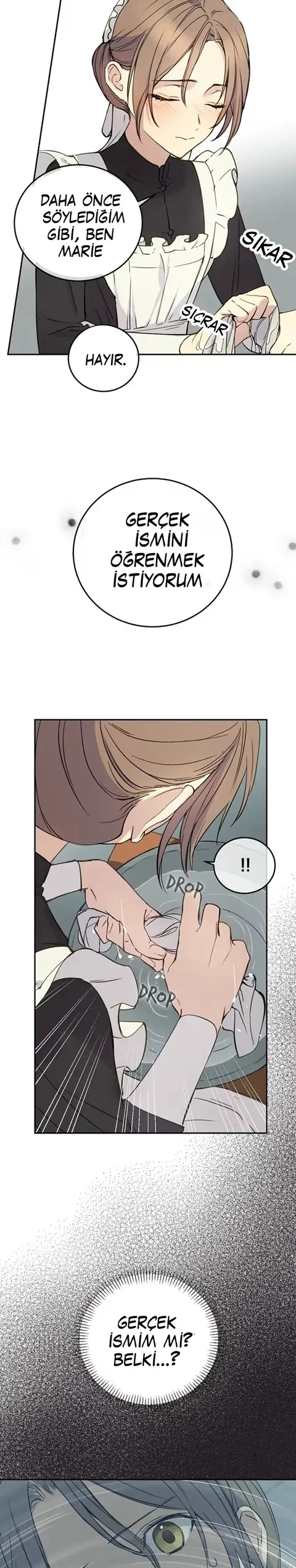 A Capable Maid - Bölüm 1 - Sayfa 21
