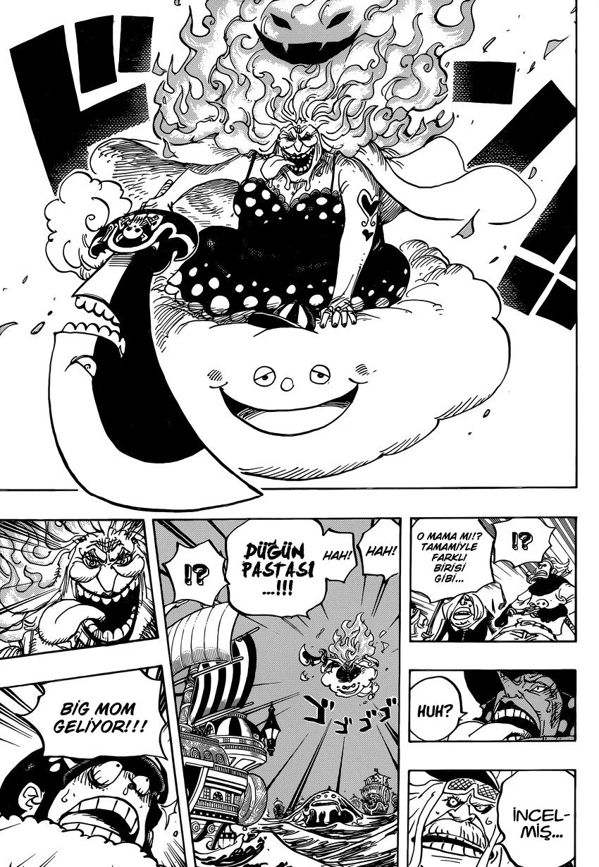 One Piece - Bölüm 889 - Sayfa 14
