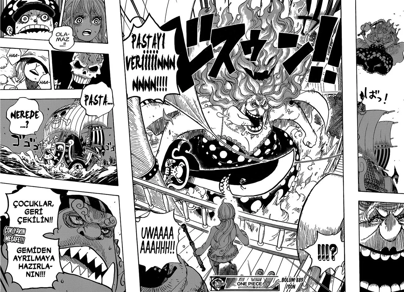 One Piece - Bölüm 889 - Sayfa 15