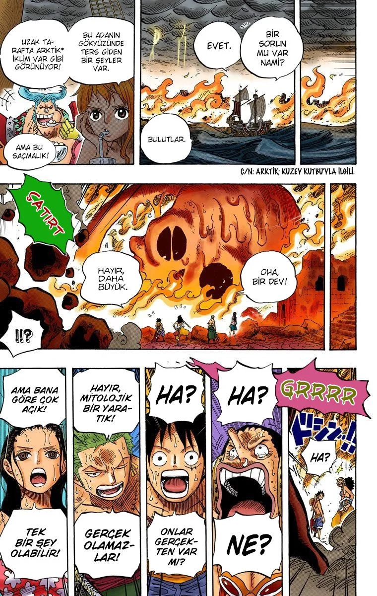One Piece - Bölüm 655 - Sayfa 17
