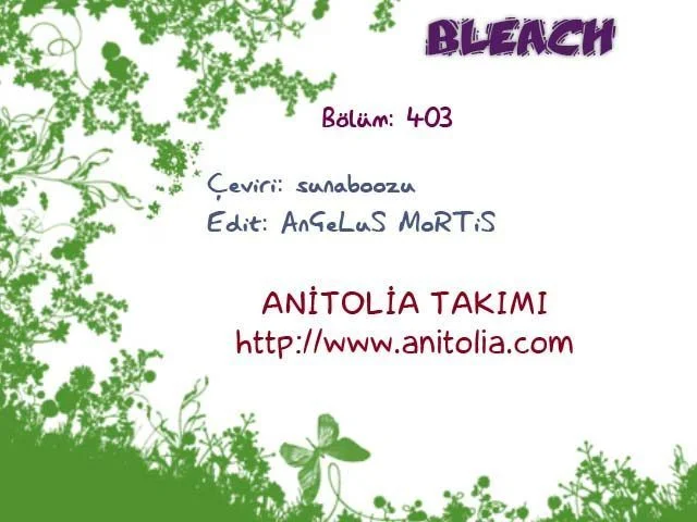 Bleach - Bölüm 403 - Sayfa 19