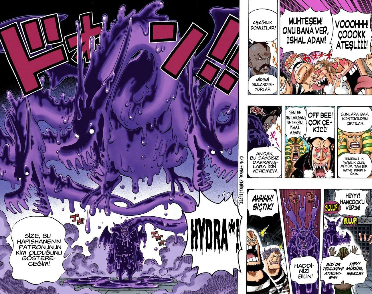 One Piece - Bölüm 531.3 - Sayfa 10