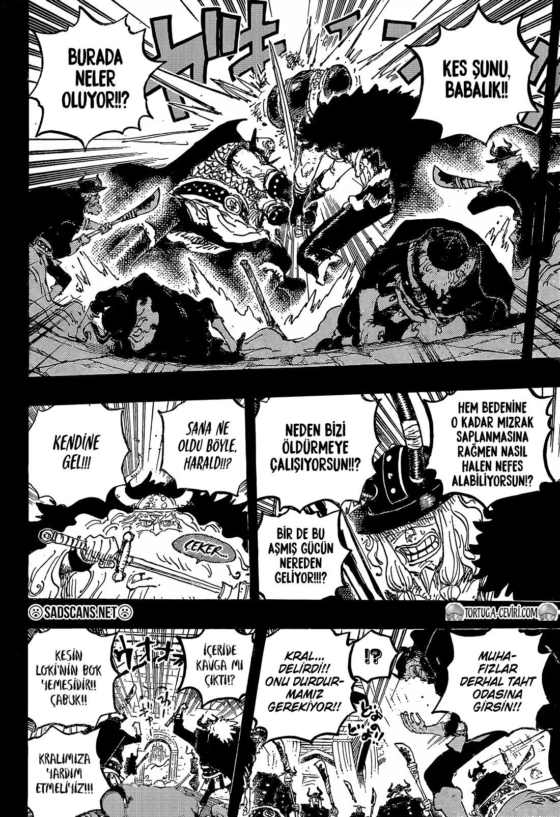 One Piece - Bölüm 1169 - Sayfa 10