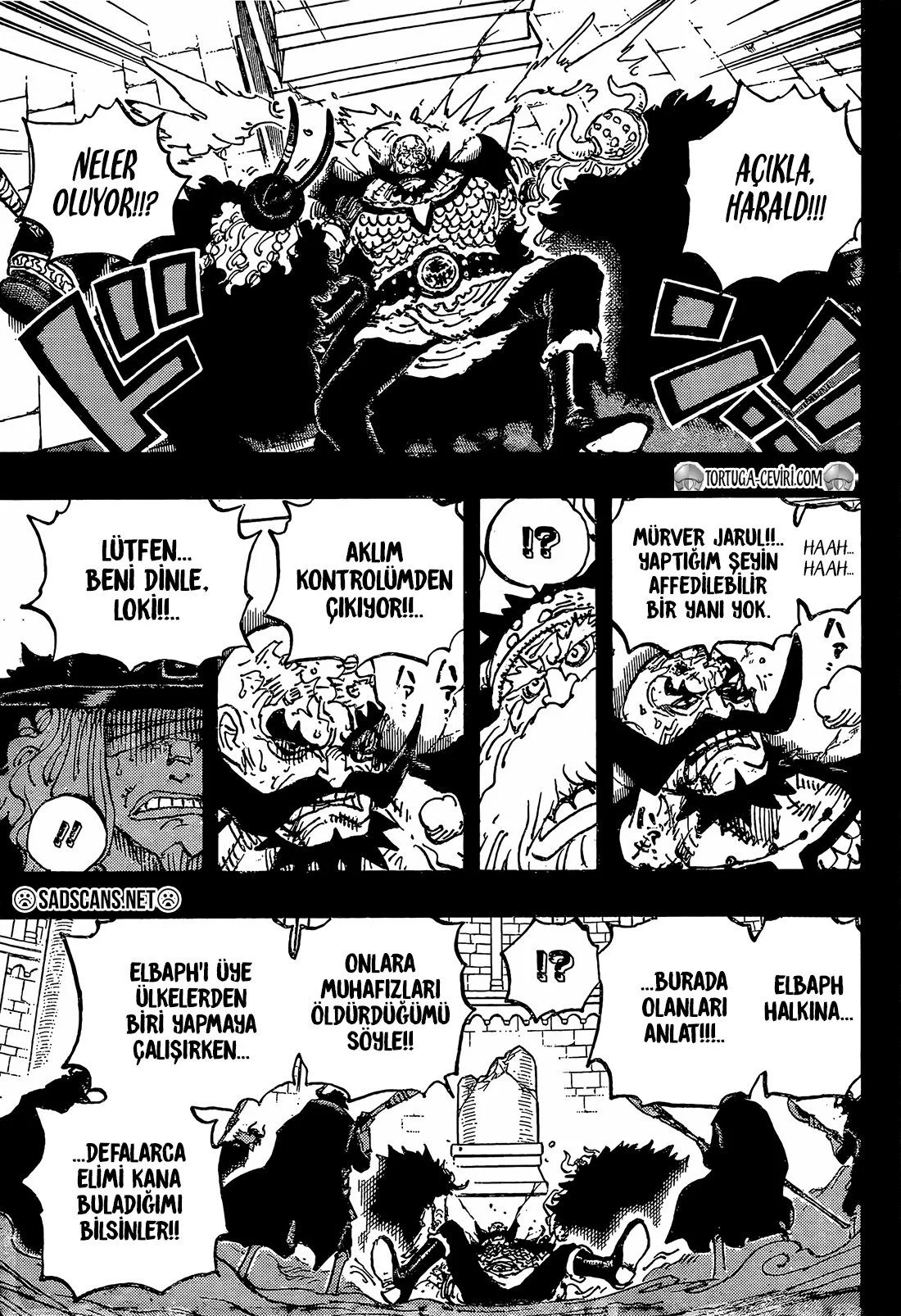 One Piece - Bölüm 1169 - Sayfa 11
