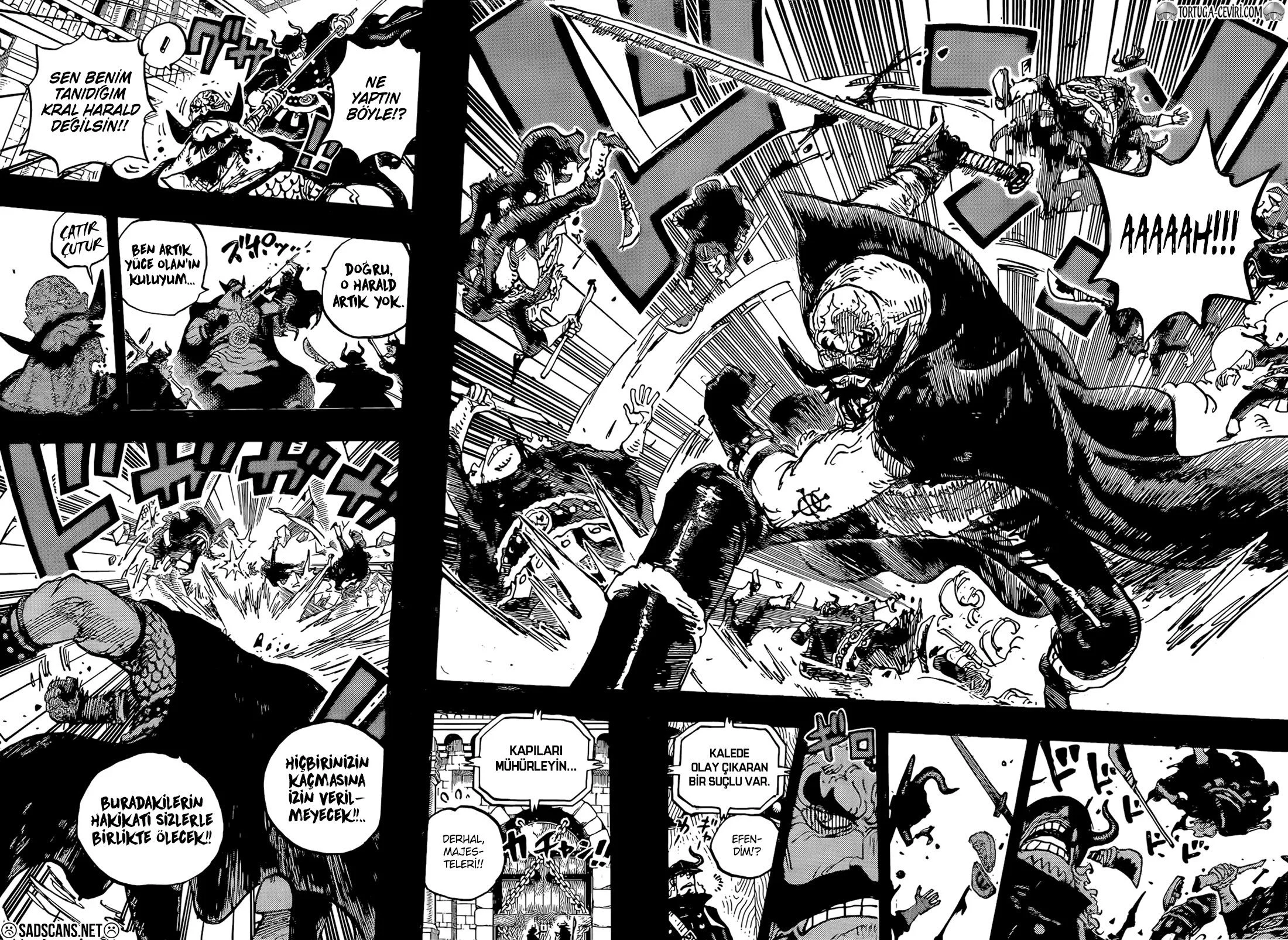 One Piece - Bölüm 1169 - Sayfa 14