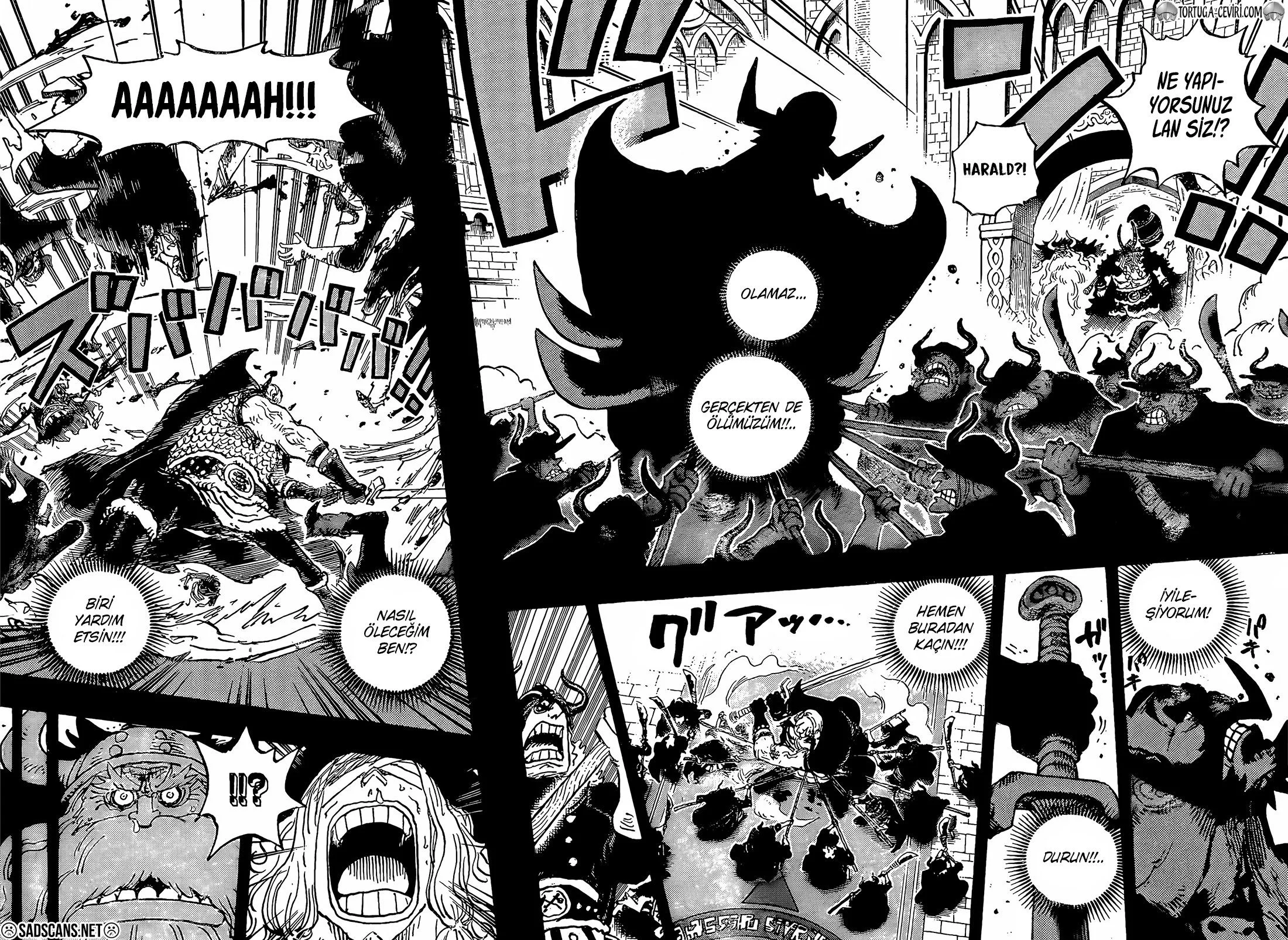 One Piece - Bölüm 1169 - Sayfa 7