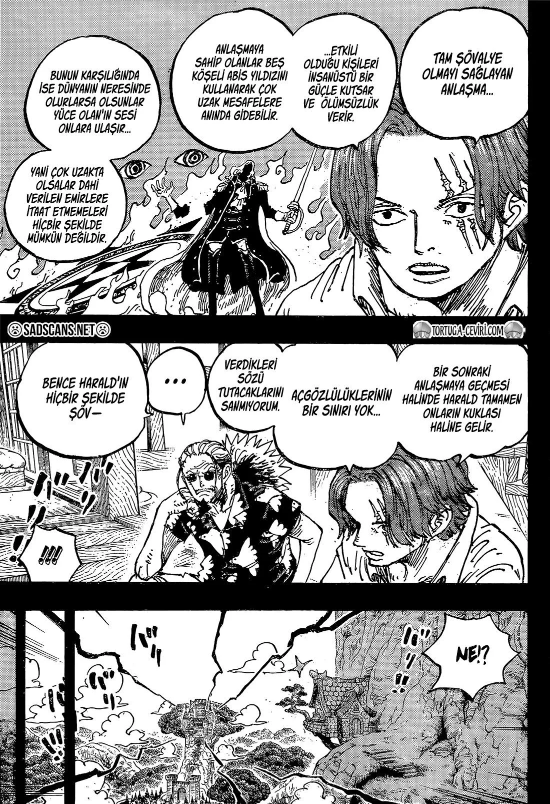 One Piece - Bölüm 1169 - Sayfa 9