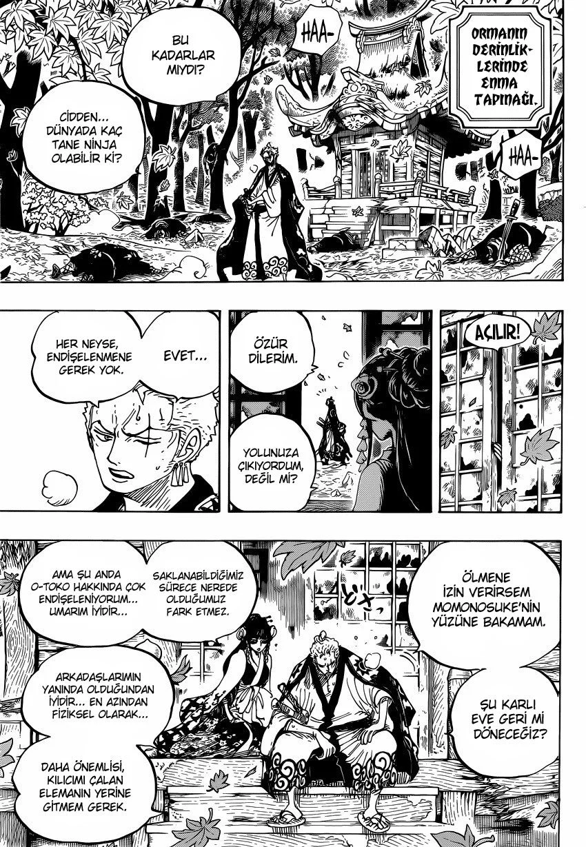 One Piece - Bölüm 950 - Sayfa 14