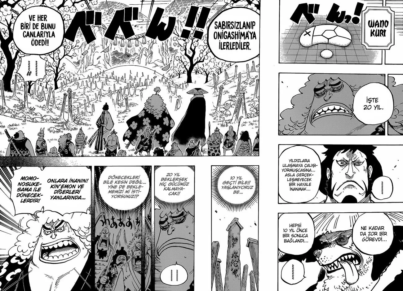 One Piece - Bölüm 950 - Sayfa 8