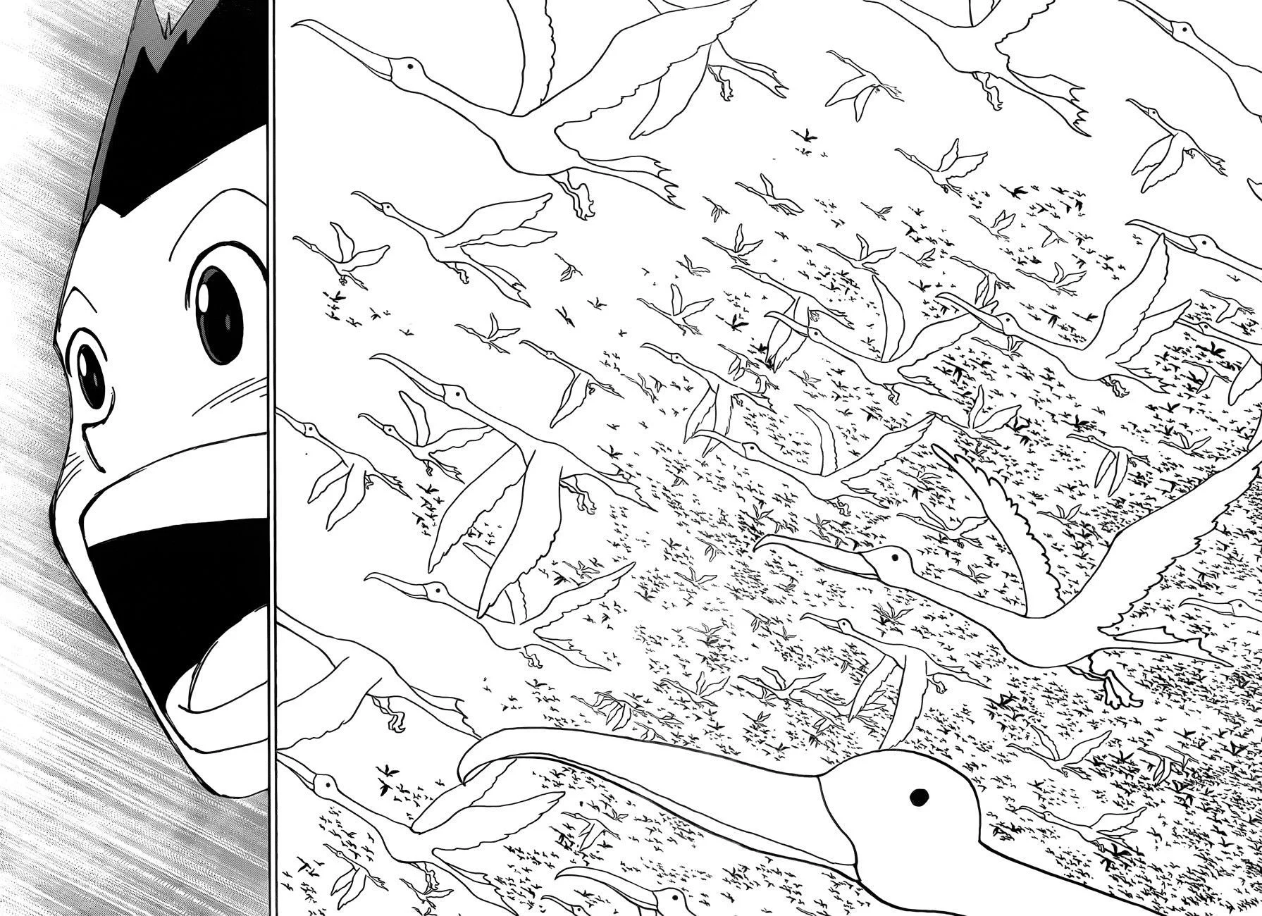 Hunter x Hunter - Bölüm 339 - Sayfa 9