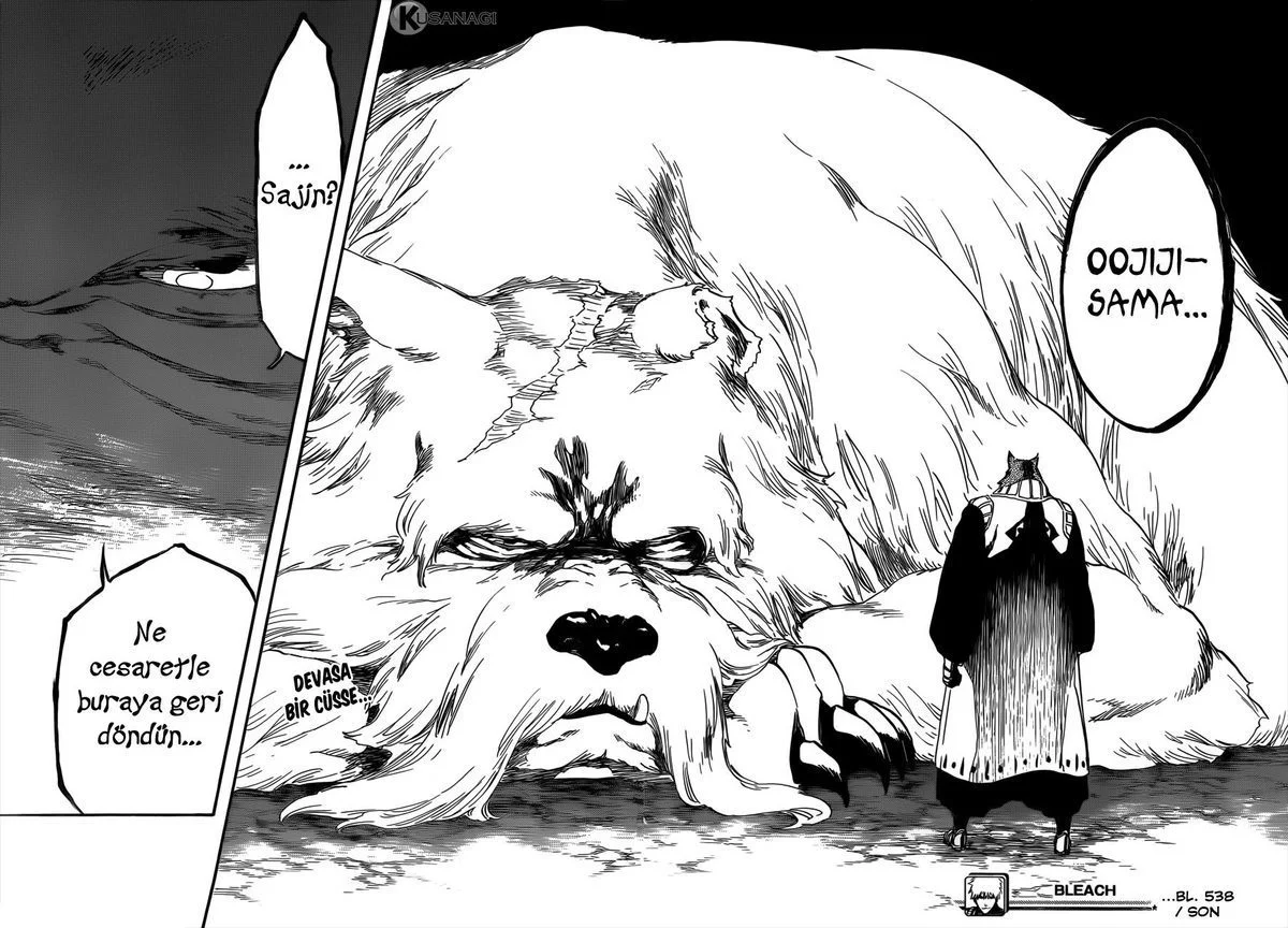 Bleach - Bölüm 538 - Sayfa 16