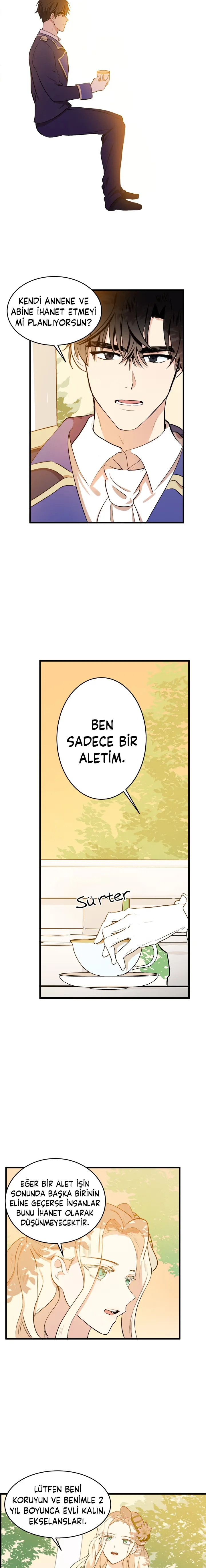 The Villainess Lives Twice - Bölüm 7 - Sayfa 13