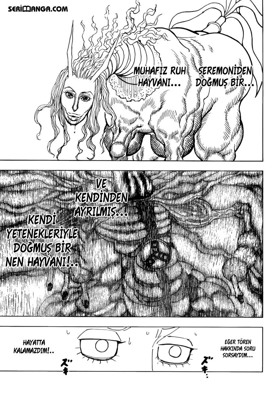 Hunter x Hunter - Bölüm 384 - Sayfa 12