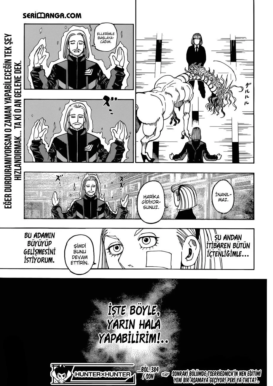 Hunter x Hunter - Bölüm 384 - Sayfa 17