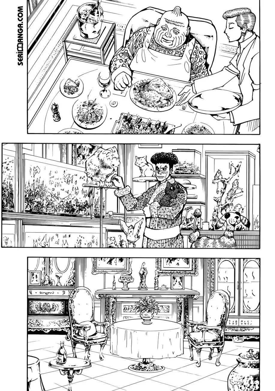 Hunter x Hunter - Bölüm 384 - Sayfa 8