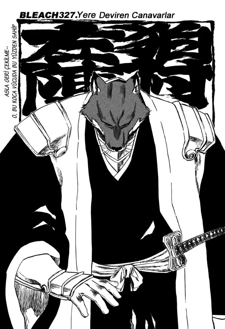 Bleach - Bölüm 327 - Sayfa 11