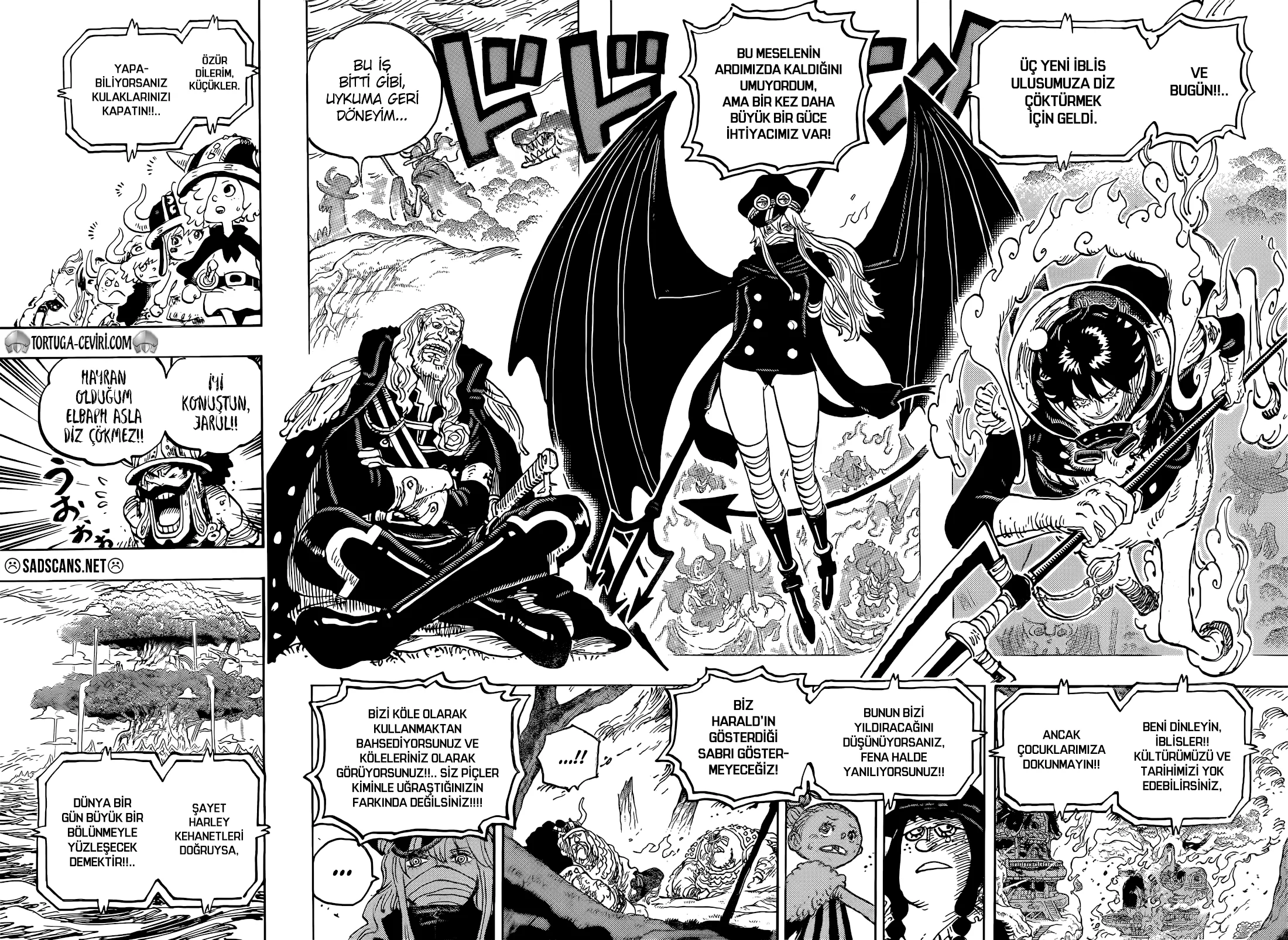 One Piece - Bölüm 1172 - Sayfa 13