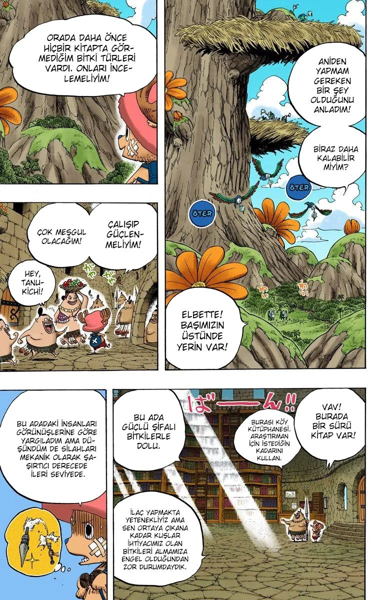 One Piece - Bölüm 595 - Sayfa 11