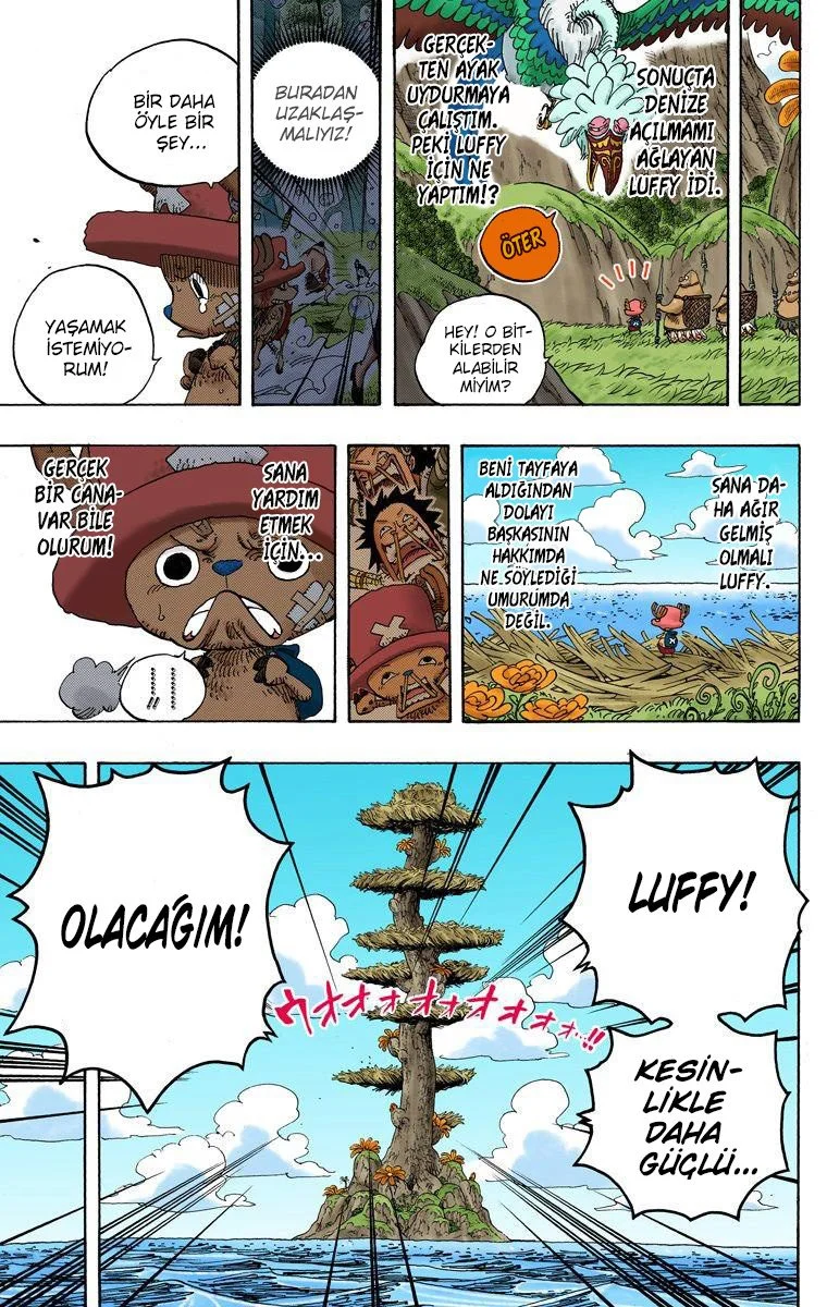 One Piece - Bölüm 595 - Sayfa 13