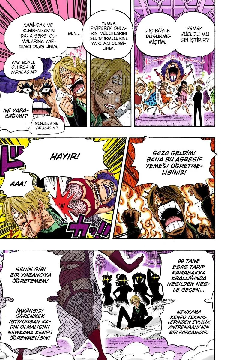 One Piece - Bölüm 595 - Sayfa 15