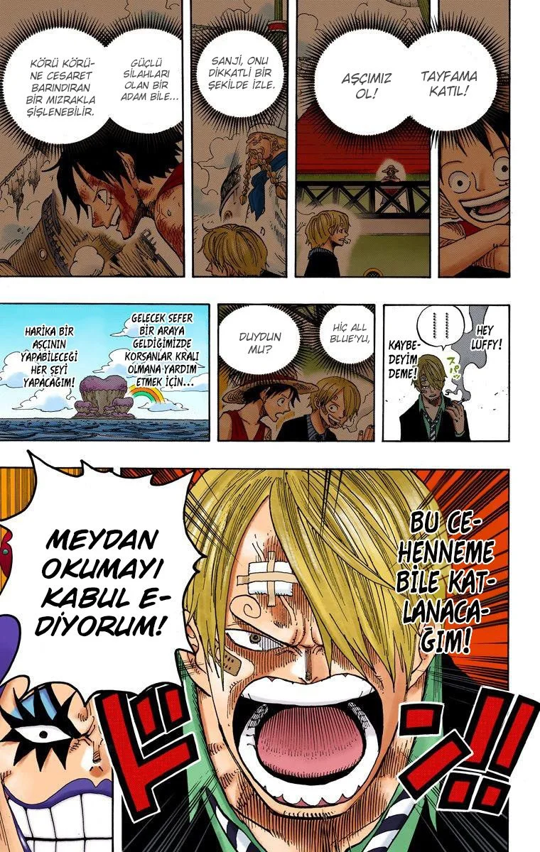 One Piece - Bölüm 595 - Sayfa 17