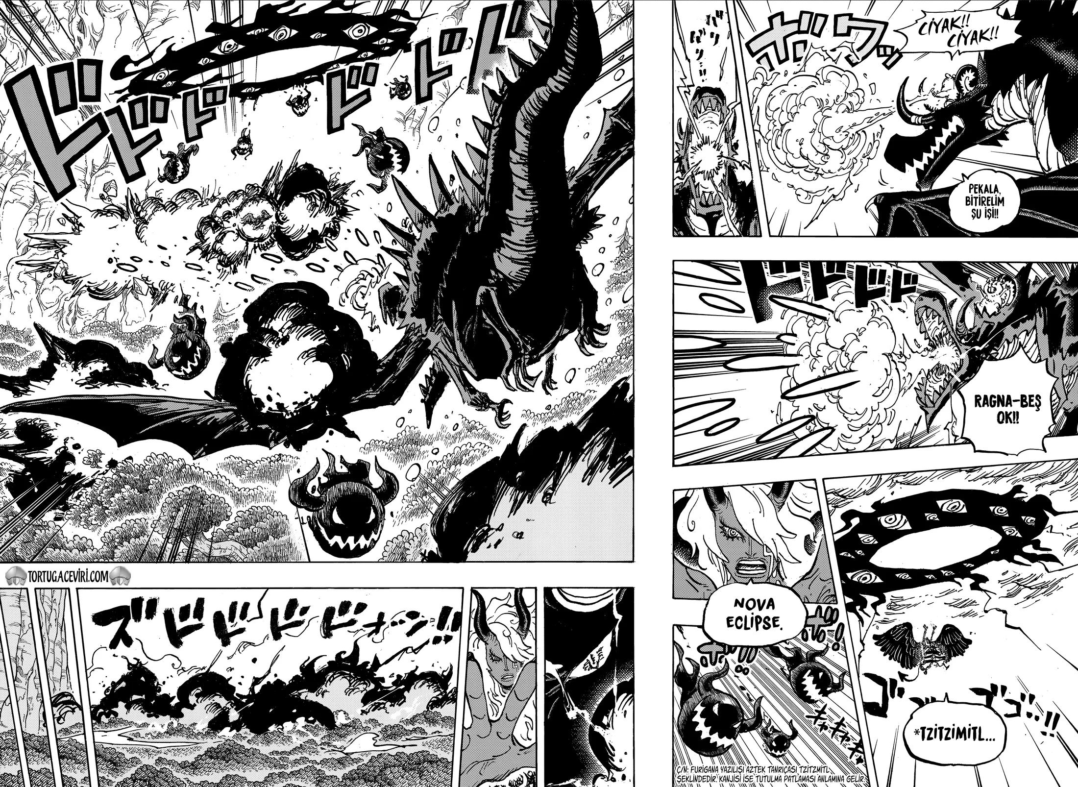 One Piece - Bölüm 1182 - Sayfa 5