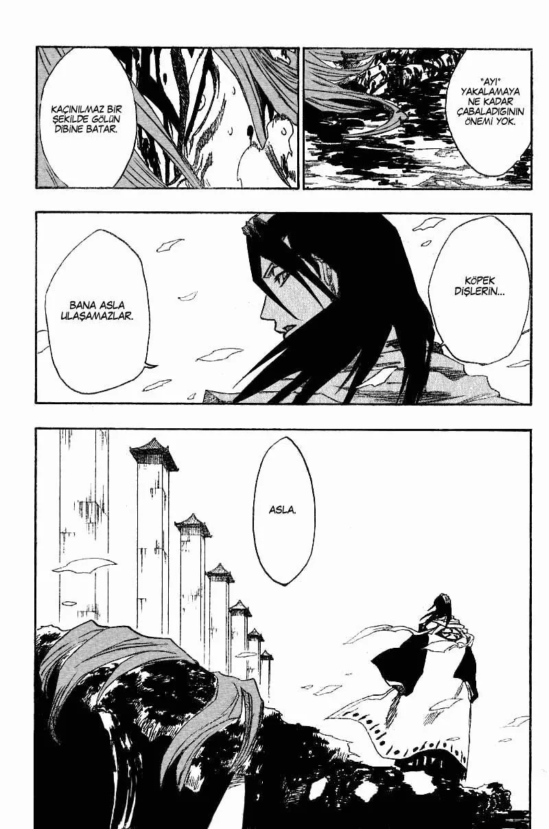 Bleach - Bölüm 142 - Sayfa 17