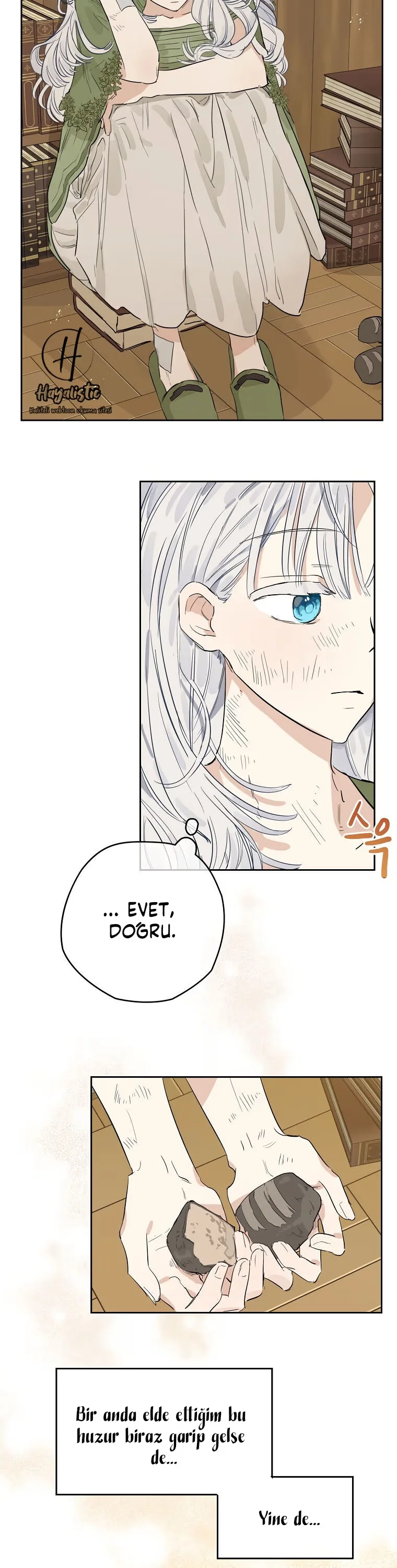 When The Count's Illegitimate Daughter Gets Married - Bölüm 3 - Sayfa 12