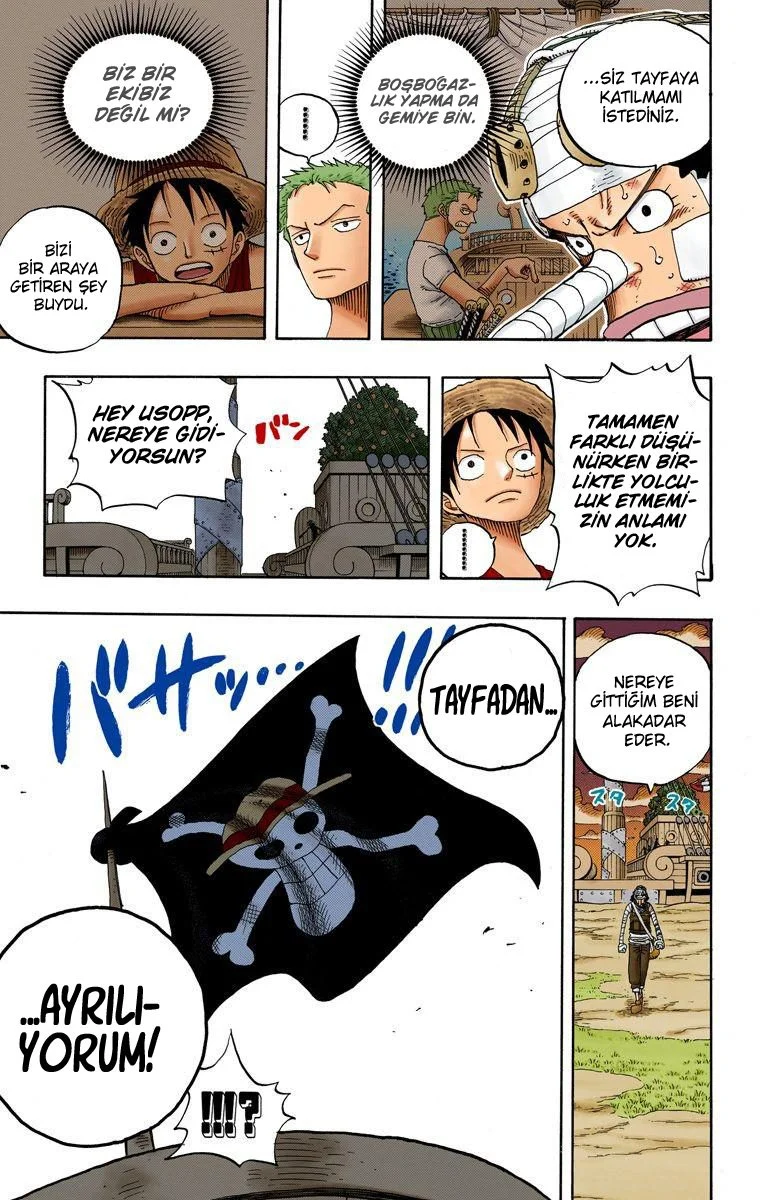 One Piece - Bölüm 331 - Sayfa 17