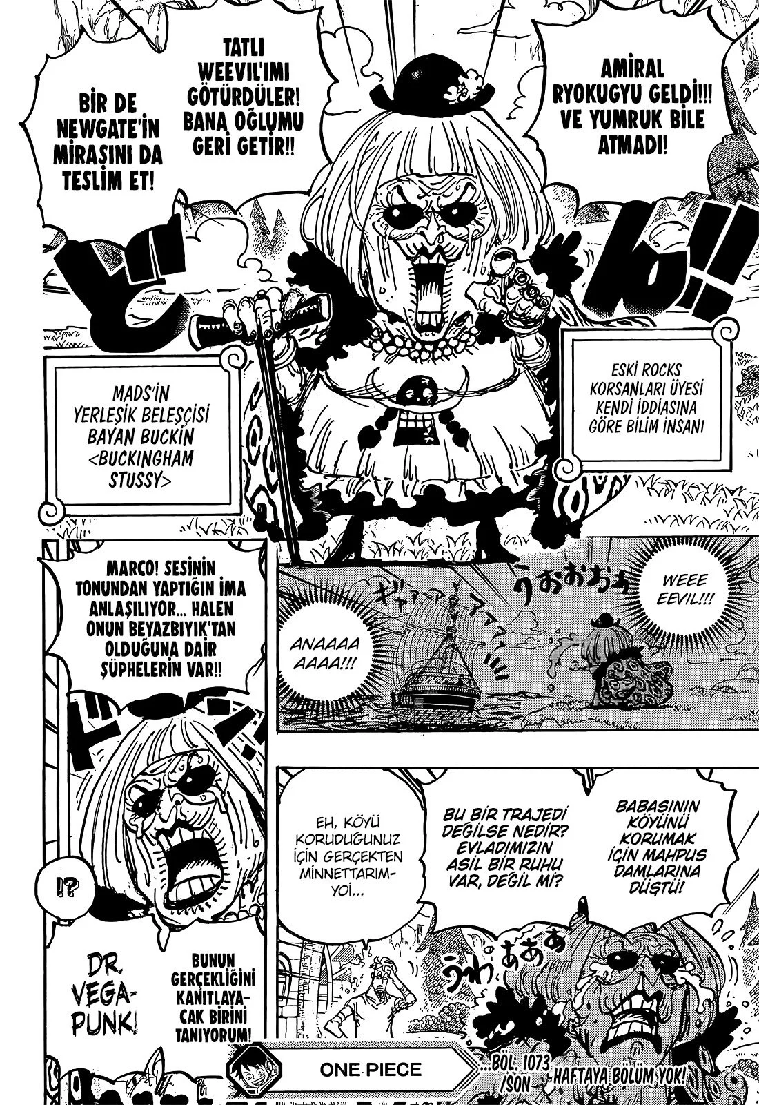 One Piece - Bölüm 1073 - Sayfa 14