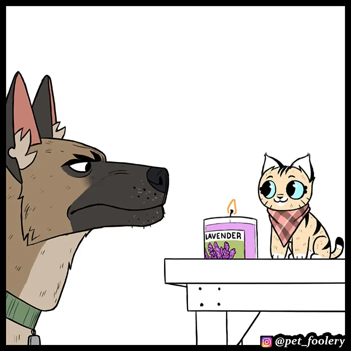 Pixie and Brutus - Bölüm 62 - Sayfa 6