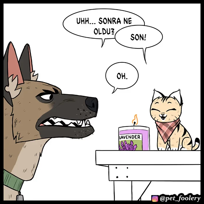 Pixie and Brutus - Bölüm 62 - Sayfa 7