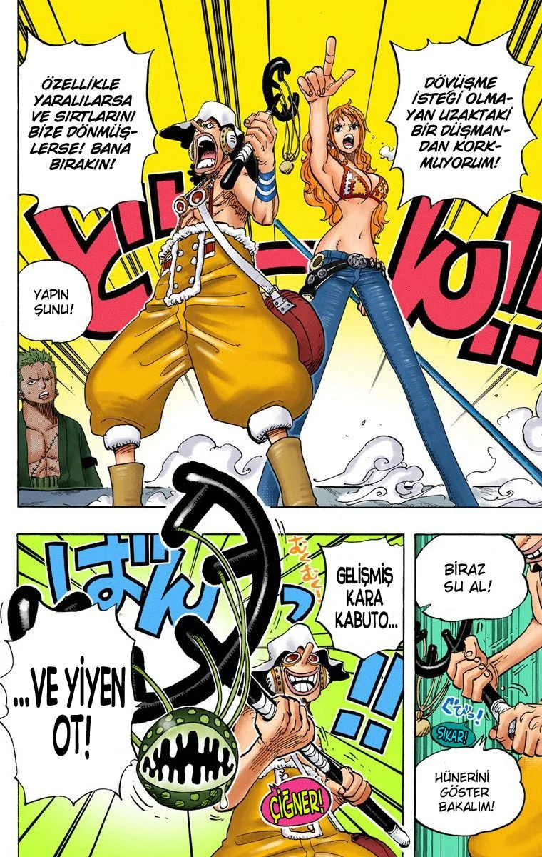 One Piece - Bölüm 695 - Sayfa 10