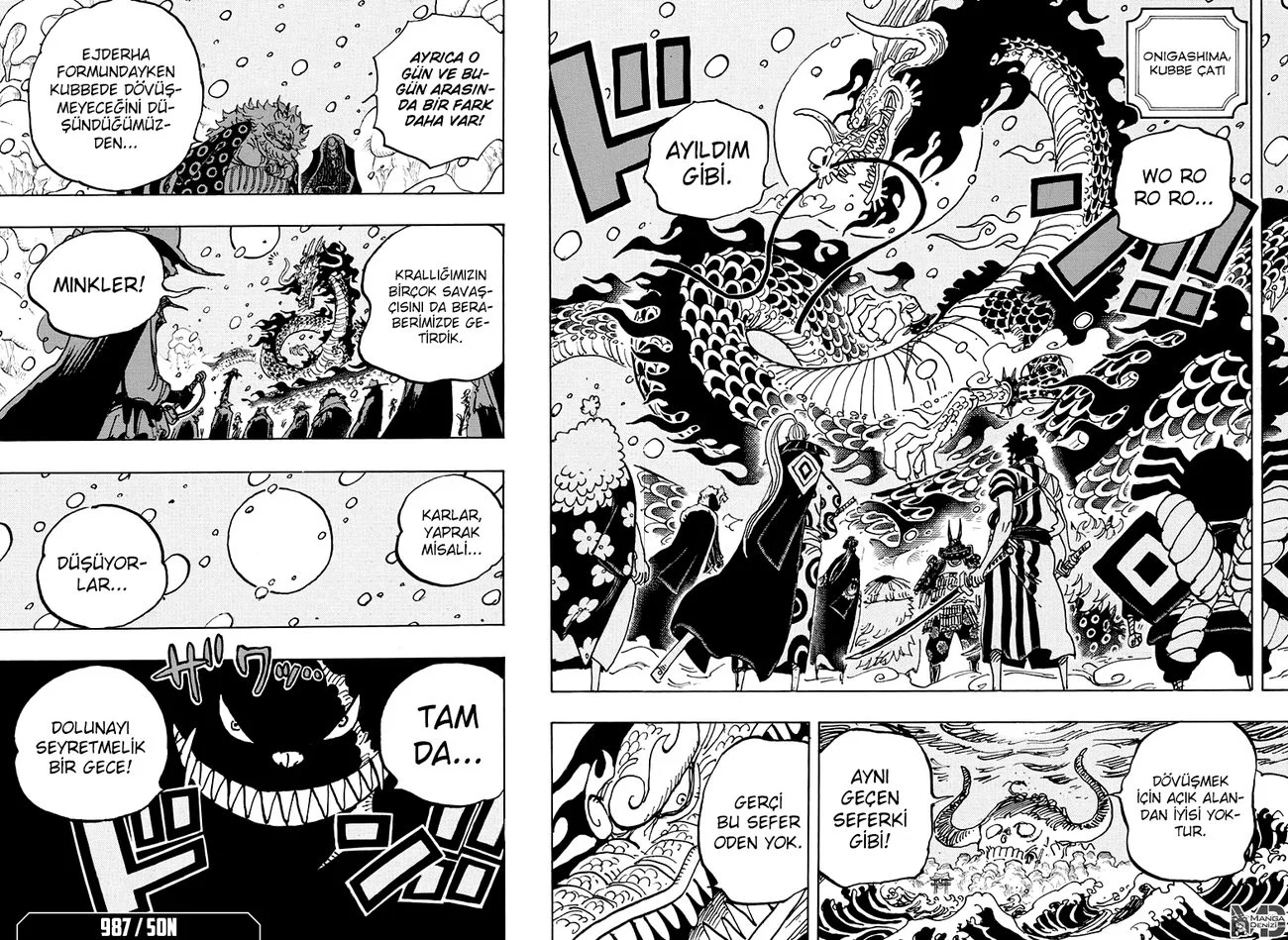 One Piece - Bölüm 987 - Sayfa 13