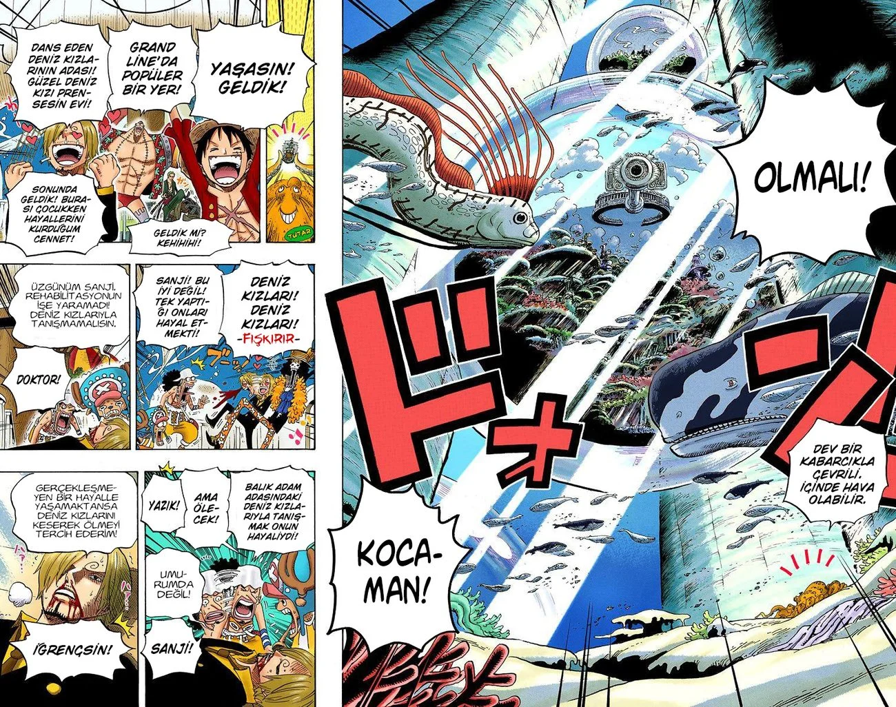 One Piece - Bölüm 607 - Sayfa 10