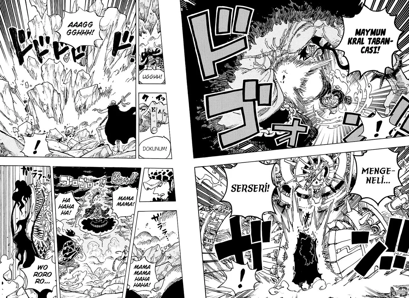 One Piece - Bölüm 1001 - Sayfa 13