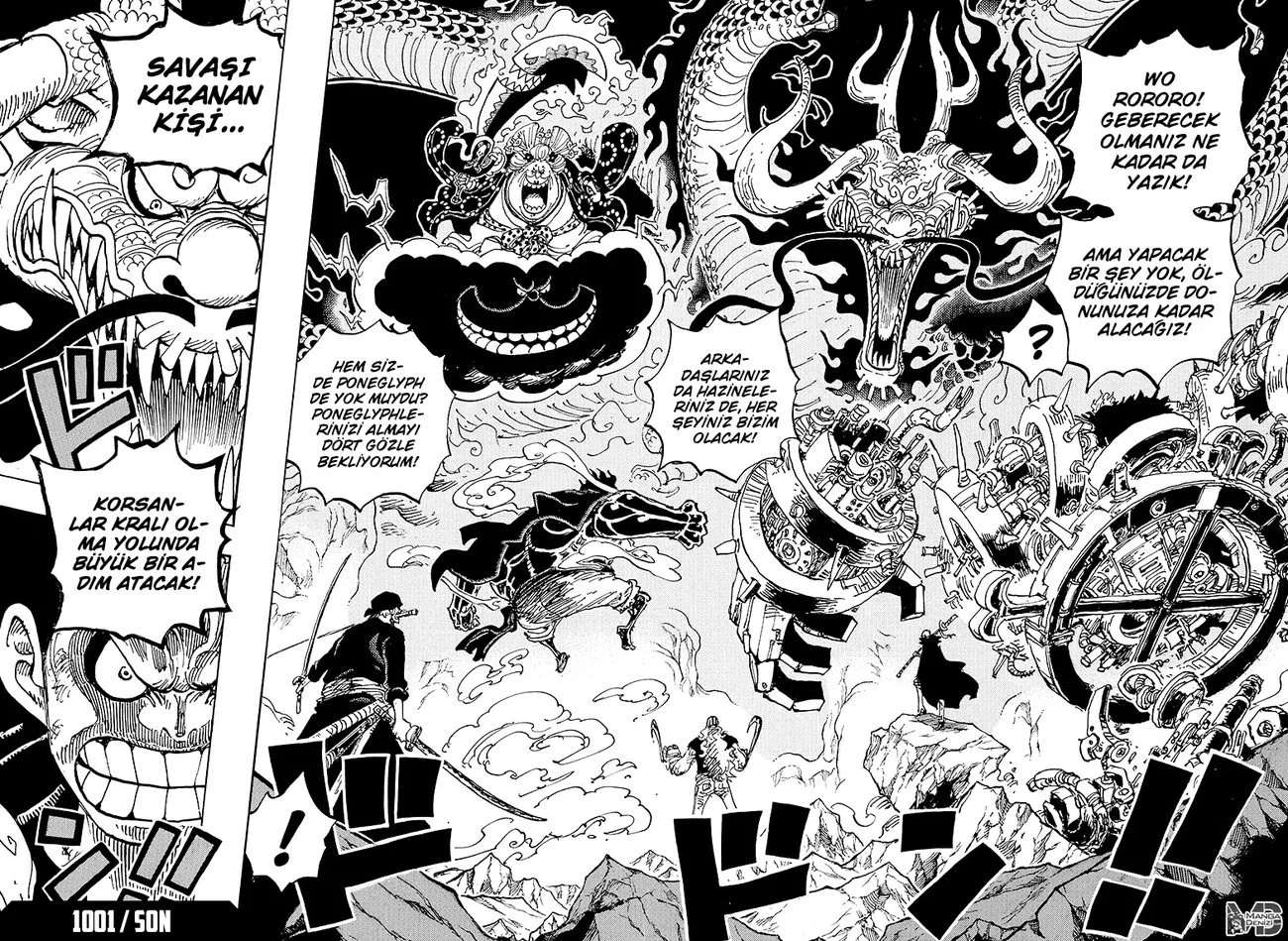 One Piece - Bölüm 1001 - Sayfa 14