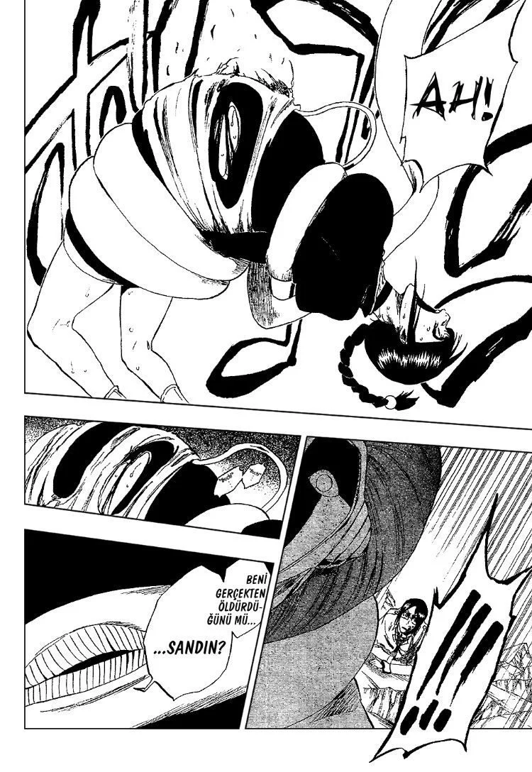 Bleach - Bölüm 304 - Sayfa 14
