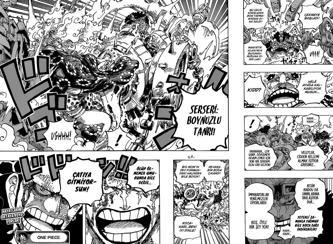 One Piece - Bölüm 1038 - Sayfa 14