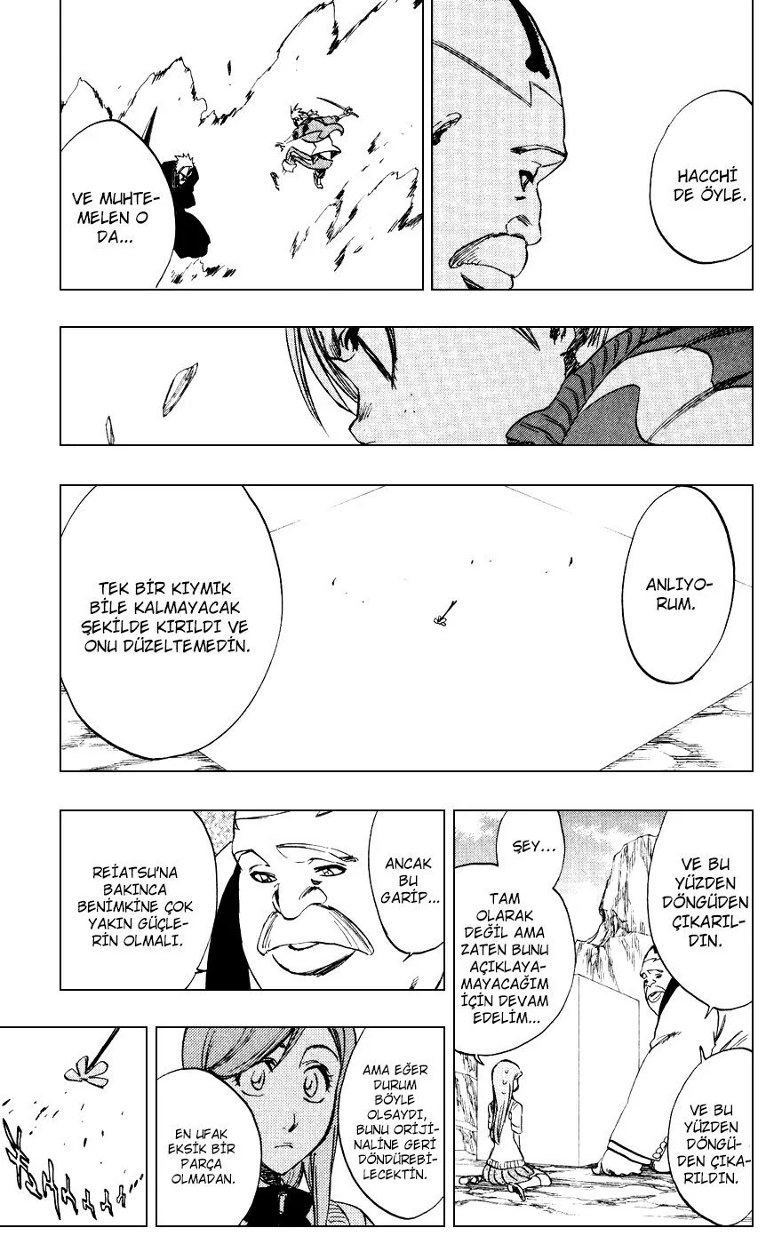 Bleach - Bölüm 228 - Sayfa 13