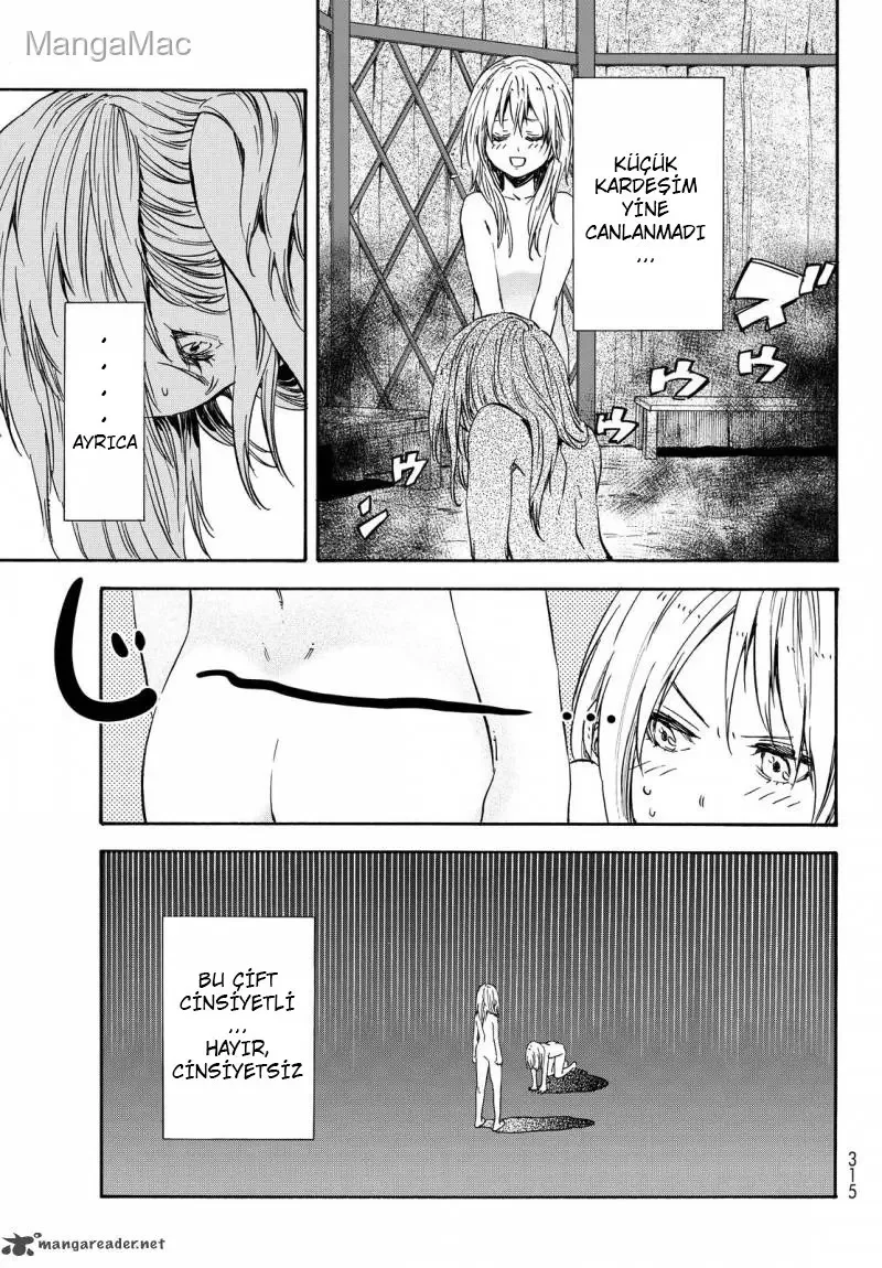 That Time I Got Reincarnated as a Slime - Bölüm 11 - Sayfa 19