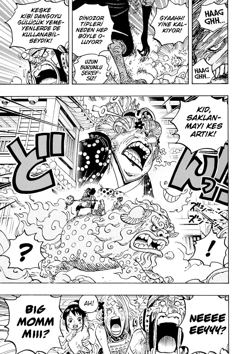 One Piece - Bölüm 1011 - Sayfa 14